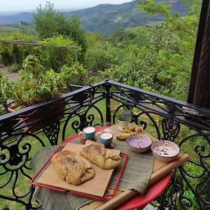 La Collina Olistica Couette-café